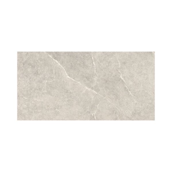 Fusion Silver 24x48 Matte tile