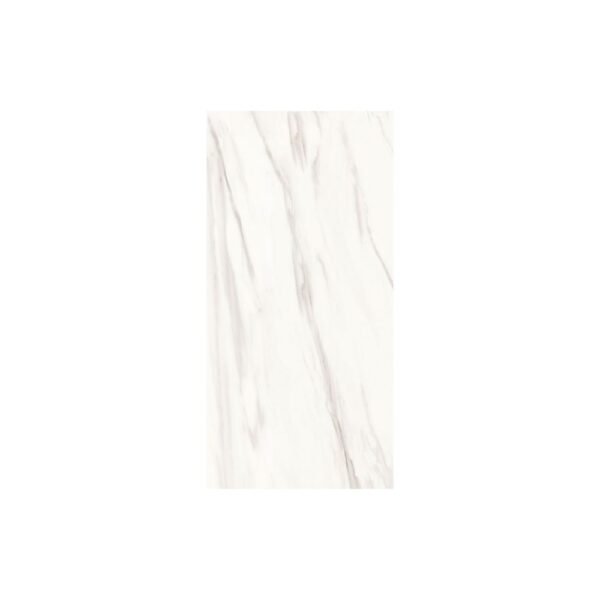 Neostone Venato 12x24 Matte tile