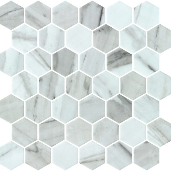 Danby Carrara Hex 2 Matte tile