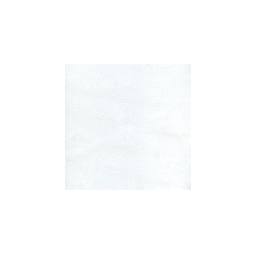 Bianco Dolomite 12x12 Select Polished tile