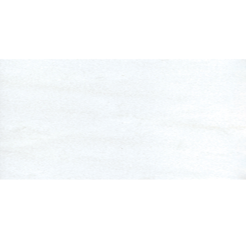 Bianco Dolomite 12x24 Select Polished tile