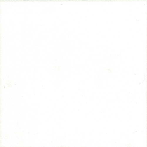 Thassos Super Select 24x24 Polished tile